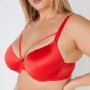 NEW! Ashley Stewart Plunge Bra